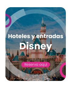 Banners landings hoteles disney