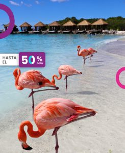 viajar a la playa aruba