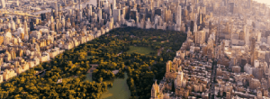 carrusel home vuelo a nueva york