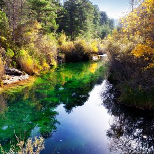 viajar a conocer la naturaleza de europa