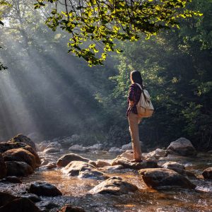 viajes en la naturaleza
