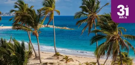 hotel en punta cana
