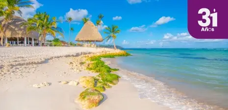 paquete a punta cana
