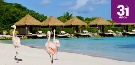 vuelo a aruba