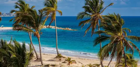 banner_home_ht_punta_cana_junio