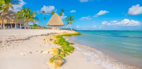 banner_home_pt_punta_cana_junio