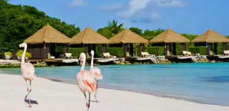 banner_home_vuelos_aruba_junio
