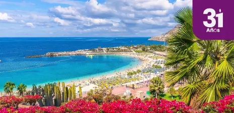 banner_home_vuelos_puerto_rico