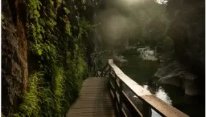imagen landing parques naturales