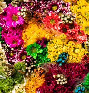 feria de flores medellin en colombia